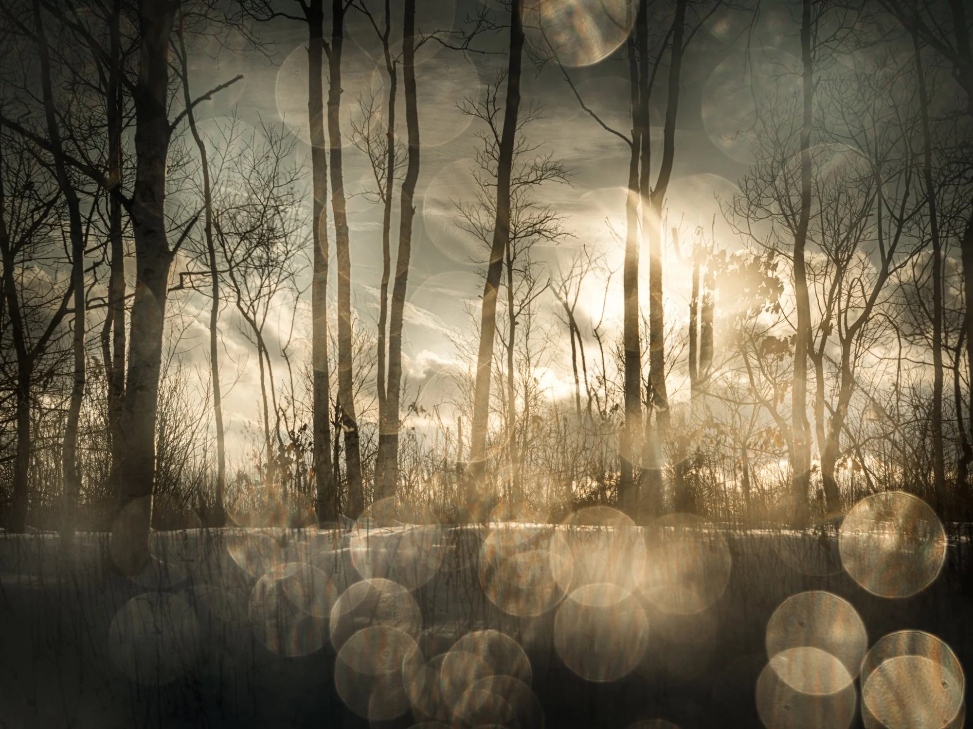 Todd Hido: The End Sends Advance Warning — Musée Magazine